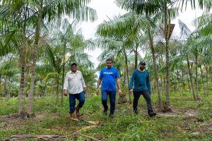 Leia mais sobre o artigo AGRO || Sampaio propõe evento para apresentar diagnóstico da Cadeia Produtiva do Açaí, Cacau e Mel em Roraima