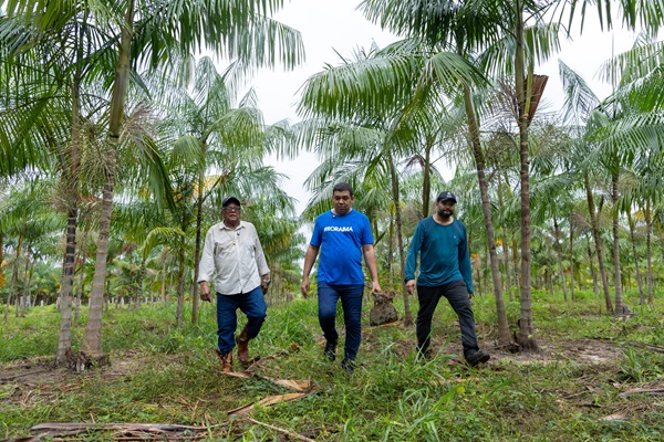 Você está visualizando atualmente AGRO || Sampaio propõe evento para apresentar diagnóstico da Cadeia Produtiva do Açaí, Cacau e Mel em Roraima