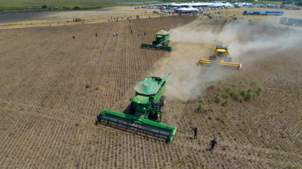 Você está visualizando atualmente AGRO || Roraima celebra colheita da soja com foco no desenvolvimento agrícola e sustentável