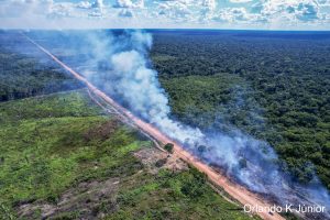 Leia mais sobre o artigo OBSERVATÓRIO || Mapa interativo apresenta dados sobre rodovia que corta a Amazônia