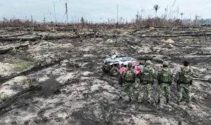 Leia mais sobre o artigo CRIME AMBIENTAL || Presos dois suspeitos de provocar incêndios na Amazônia