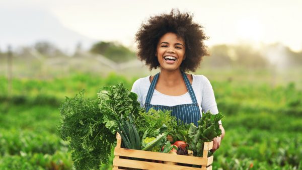 Você está visualizando atualmente INSCRIÇÃO || Projetos de agricultura sustentável em Roraima concorrerem a até R$ 900 mil